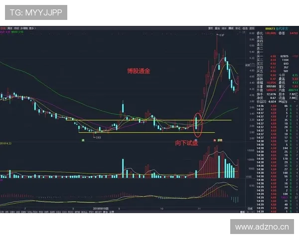 防守站位规则新手必看，快速入门防守技巧